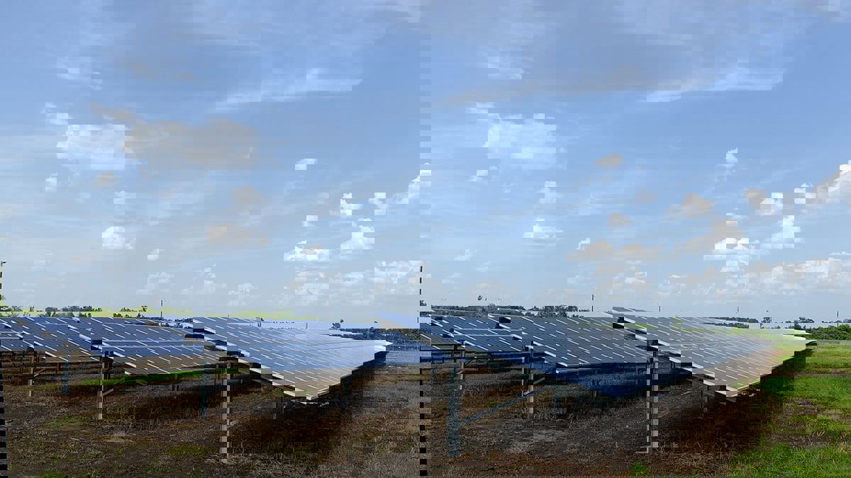 "سويحان" للطاقة الإماراتية تسعى لجمع 728 مليون دولار من طرح سندات خضراء