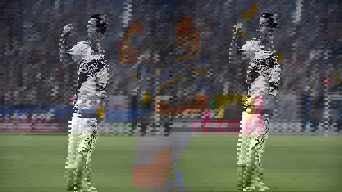 بعد مانشستر يونايتد.. زلاتان إبراهيموفيتش على رادار إنتر ميلان