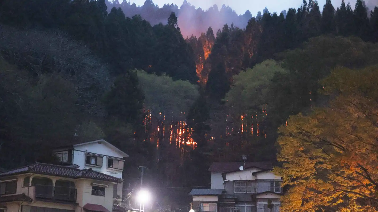 إجلاء سكان بسبب حريقي غابات في اليابان