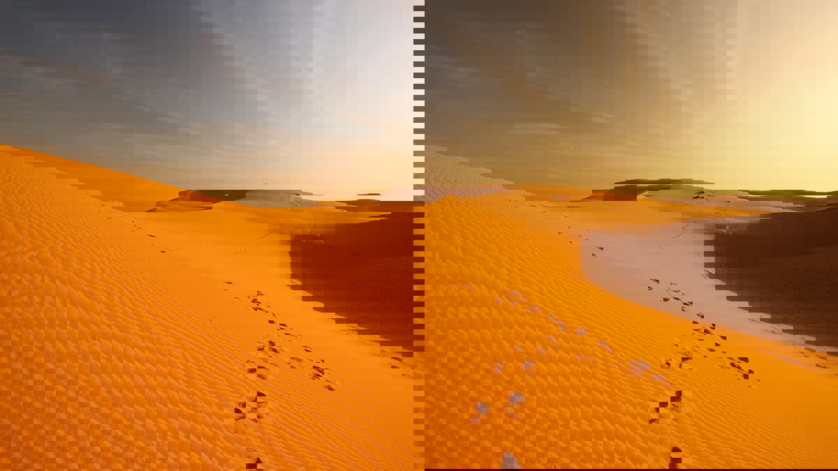 باحثون يطورون تقنية لاستخراج مياه الشرب من هواء الصحراء