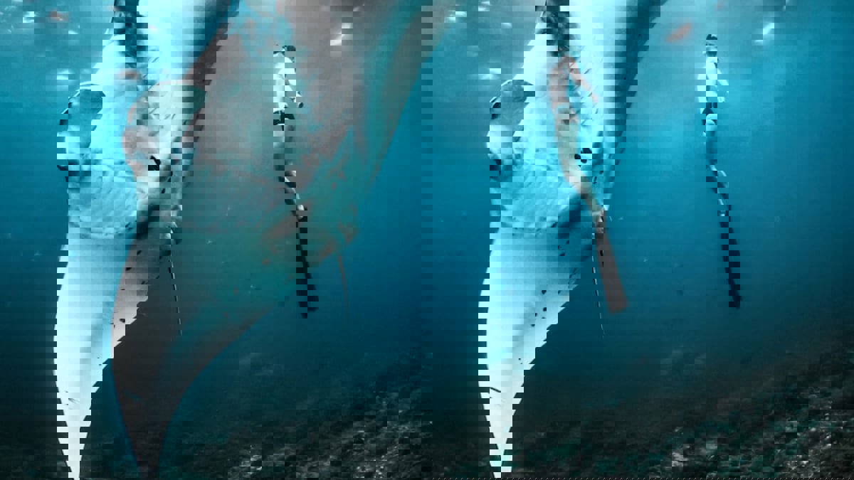 صور مذهلة تكشف أسرار عالم أعماق البحار