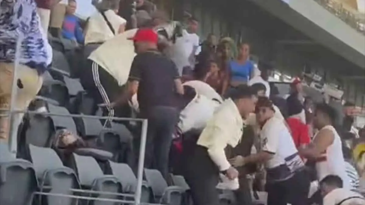 لماذا ضرب مشجعو الزمالك بعضهم في جنوب إفريقيا؟ (فيديو)