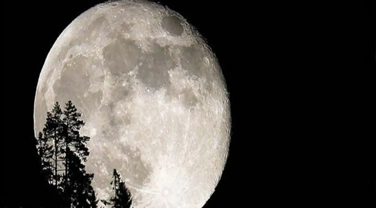 ناسا تزرع بذور النباتات على سطح القمر