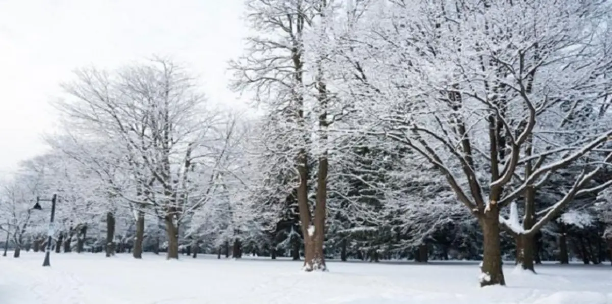 إقليم باكستاني يغلق كافة المدارس بسبب البرد ‎