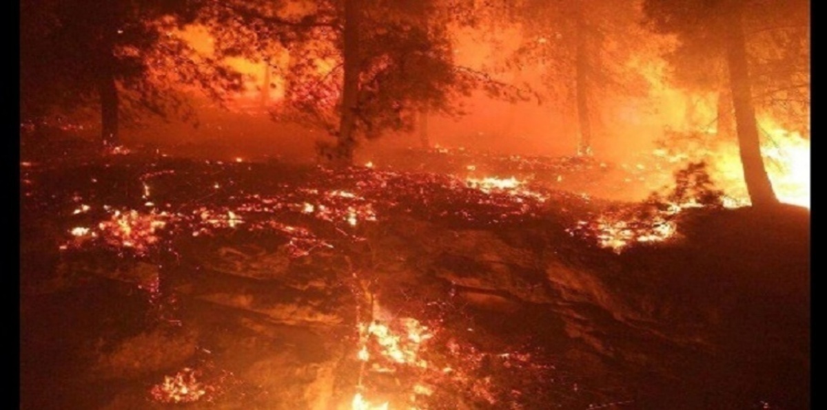 وزير يهودي يتهم العرب بإشعال حرائق إسرائيل