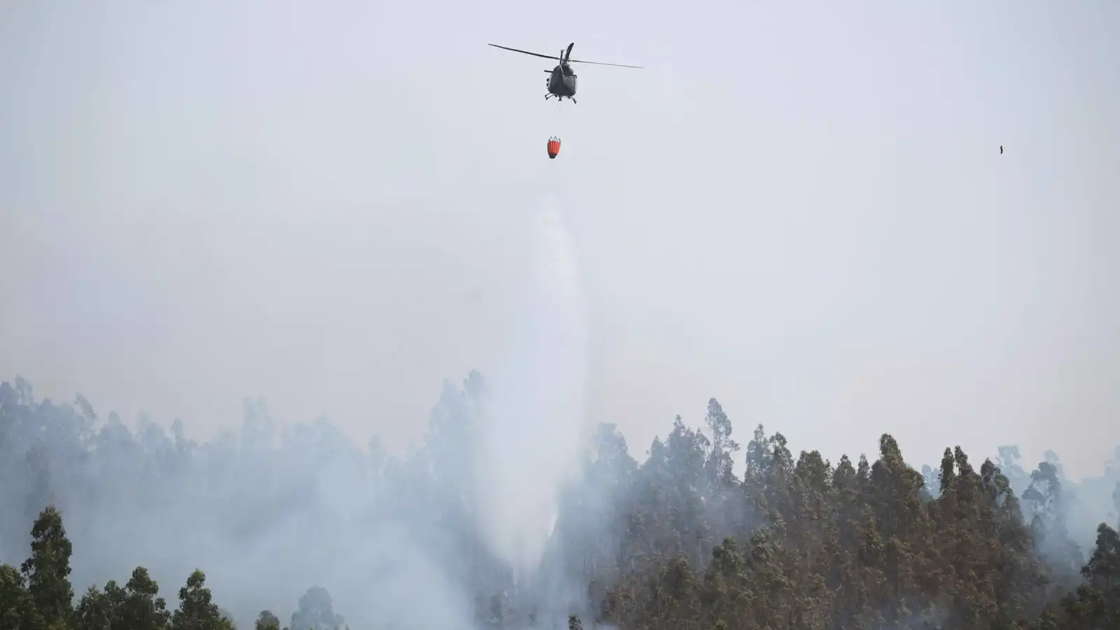 ارتفاع حصيلة ضحايا حرائق الغابات في تشيلي