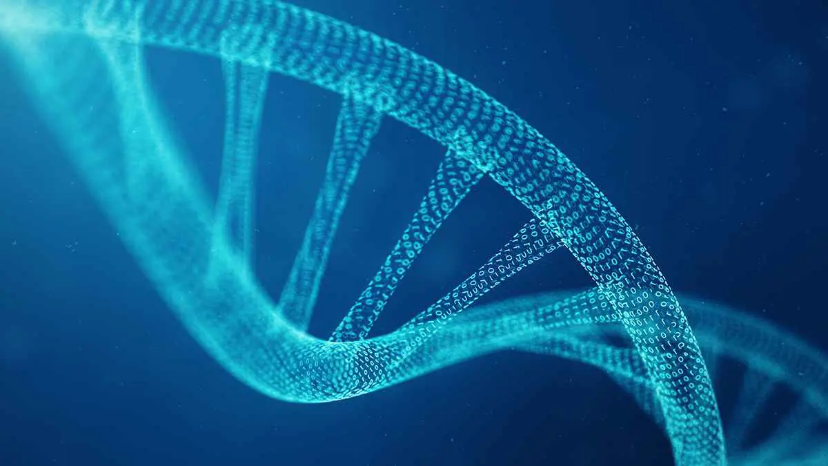 جيناتنا تكشف عن انقسام غامض للبشر قبل 1.5 مليون سنة