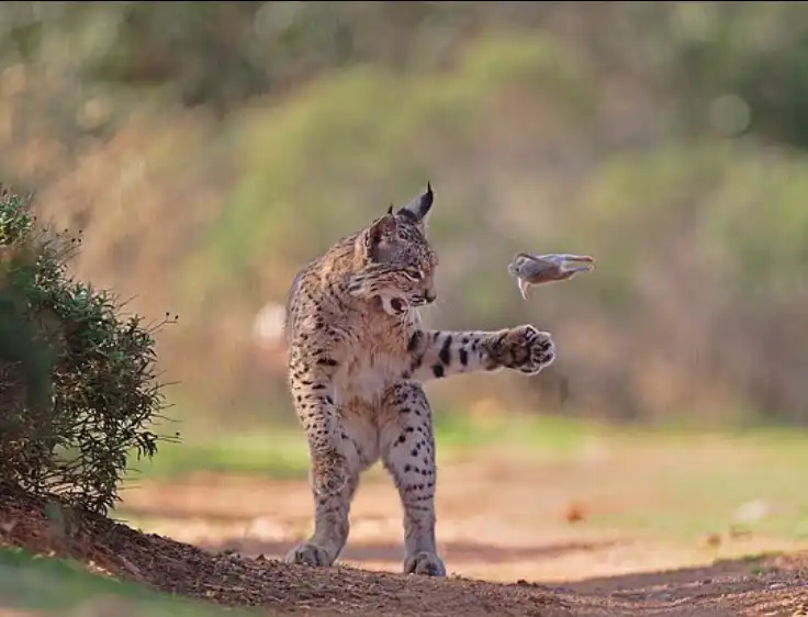 الصورة الفائزة بالمسابقة