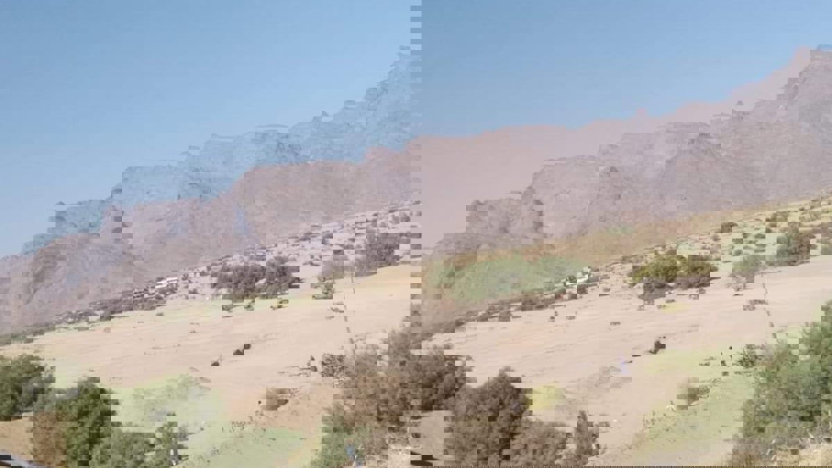 قوات العمالقة تدخل حريب مأرب بعد طرد الحوثيين من شبوة