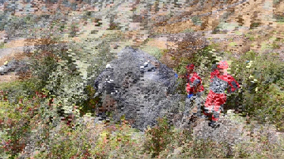 الفنان التركي إبراهيم تاتليسس يتعرض لحادث سير مروع (فيديو)