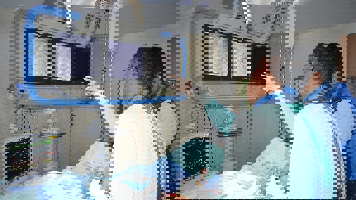 مستوحاة من الدبابير.. باحثون يطورون قسطرة مرنة تصل إلى أعماق الدماغ