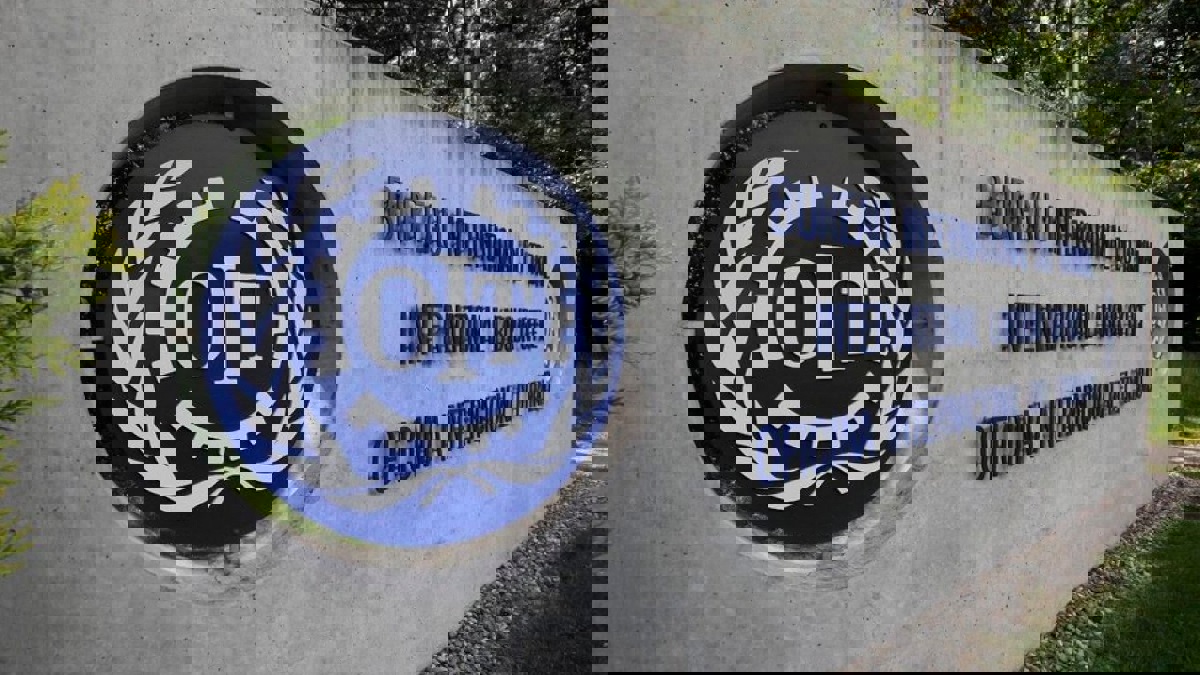 منظمة العمل الدولية ترجئ مؤتمرها السنوي عاما