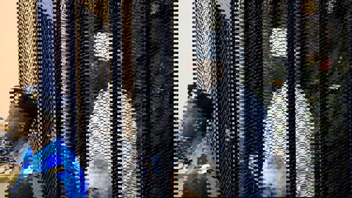 في الجلسة الـ4 لمحاكمة البشير.. الدفاع يهاجم القضاة