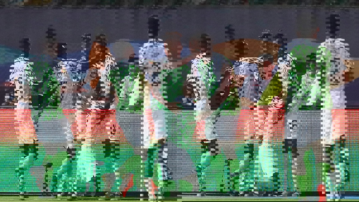نيجيريا تستغل هفوة جديدة من تونس وتحقق المركز الثالث بكأس الأمم الأفريقية (فيديو)