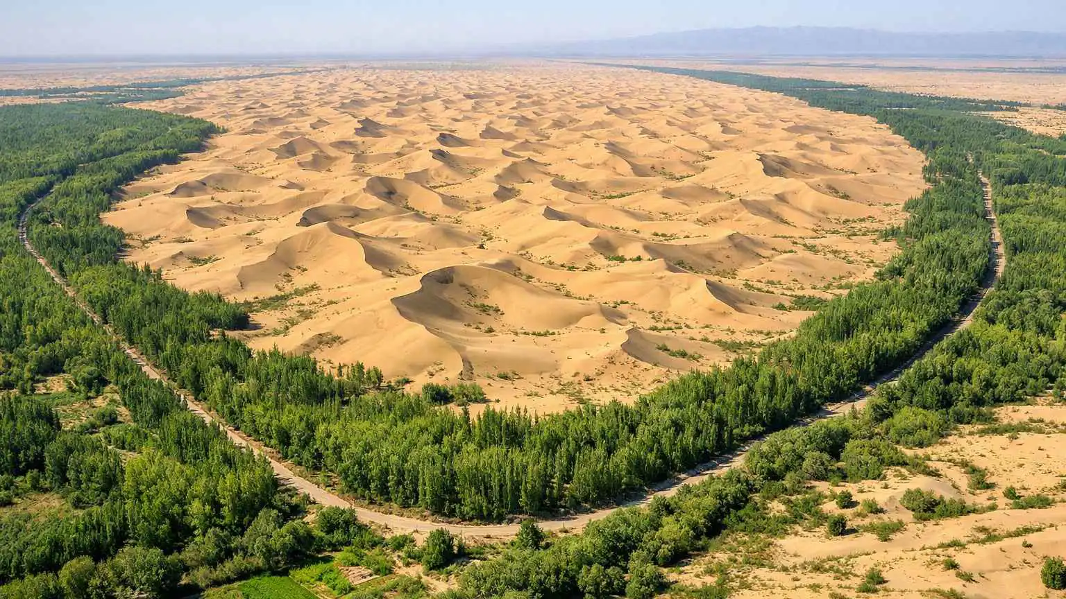 زراعة الأشجار في الصحراء.. خطوة صينية ضد الانبعاثات