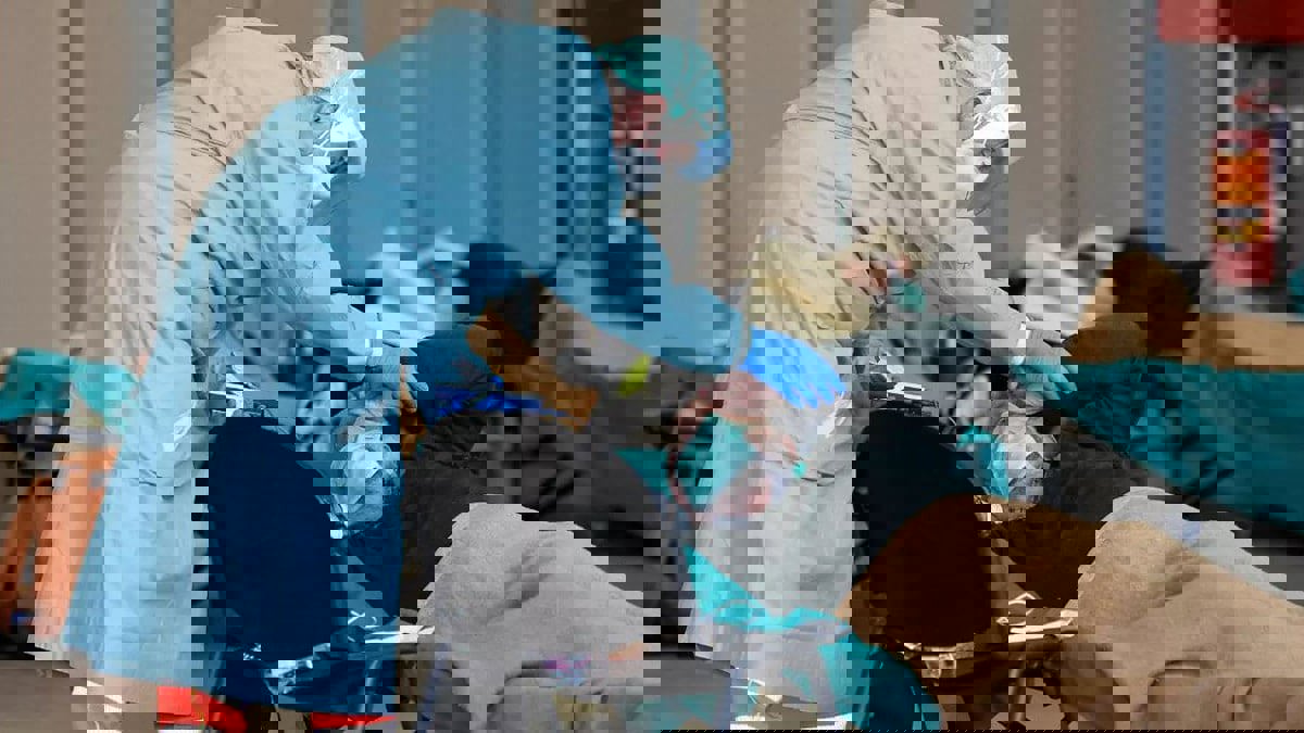 وفيات كورونا في فرنسا تقترب من 20 ألفا