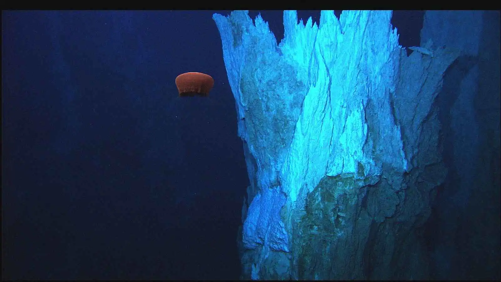 أعماق المحيط الأطلسي تكشف مدينة بحرية مفقودة (صور)