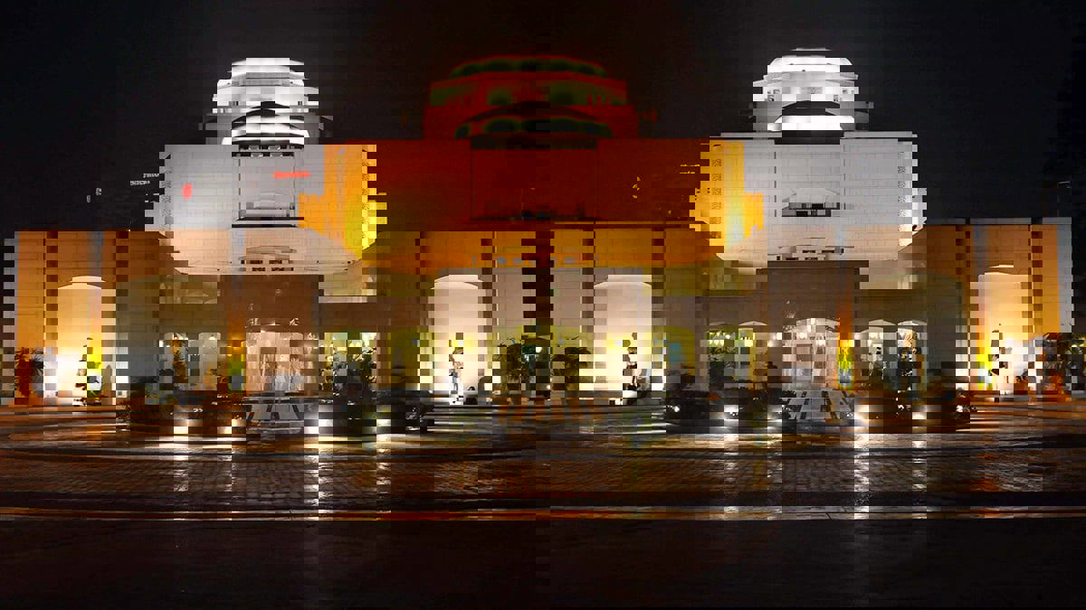 بعد إحالة مسؤوليها للتحقيق.. "الأوبرا المصرية" تعلق على واقعة تسميم "قطة المشاهير"