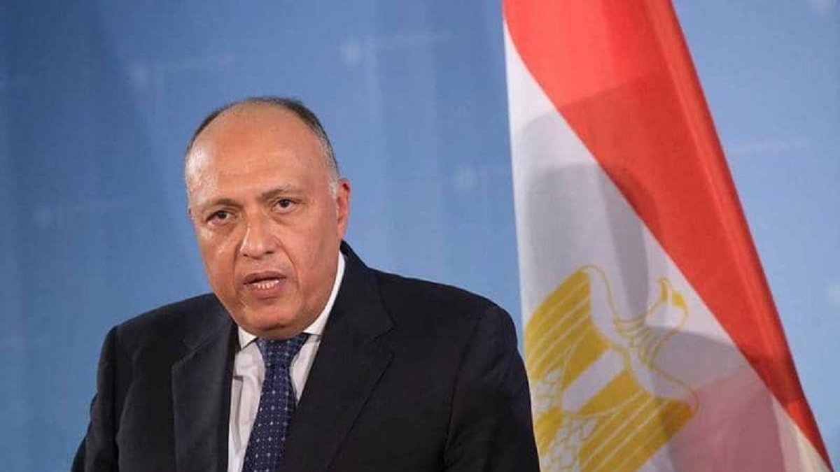 سامح شكري: مصر قد تلجأ لمجلس الأمن لحل أزمة سد النهضة