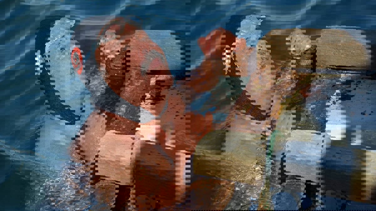 بعد حملة تشكيك واسعة.. السلطات التونسية تحقق في إنجاز السباح نجيب بالهادي