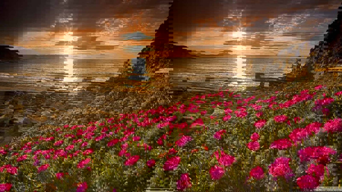 غش في المواقيت