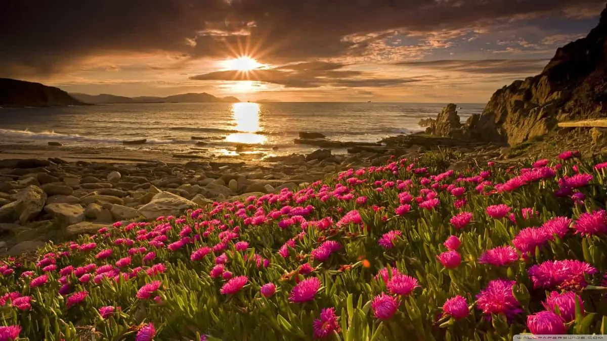 غش في المواقيت