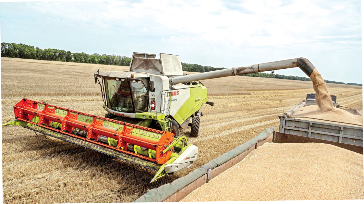 صادرات أوكرانيا من المحاصيل تتراجع بمقدار الثلث خلال أغسطس