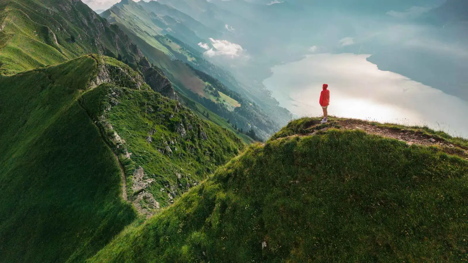 كيف تغير دقيقتان أمام منظر طبيعي كيمياء دماغك؟