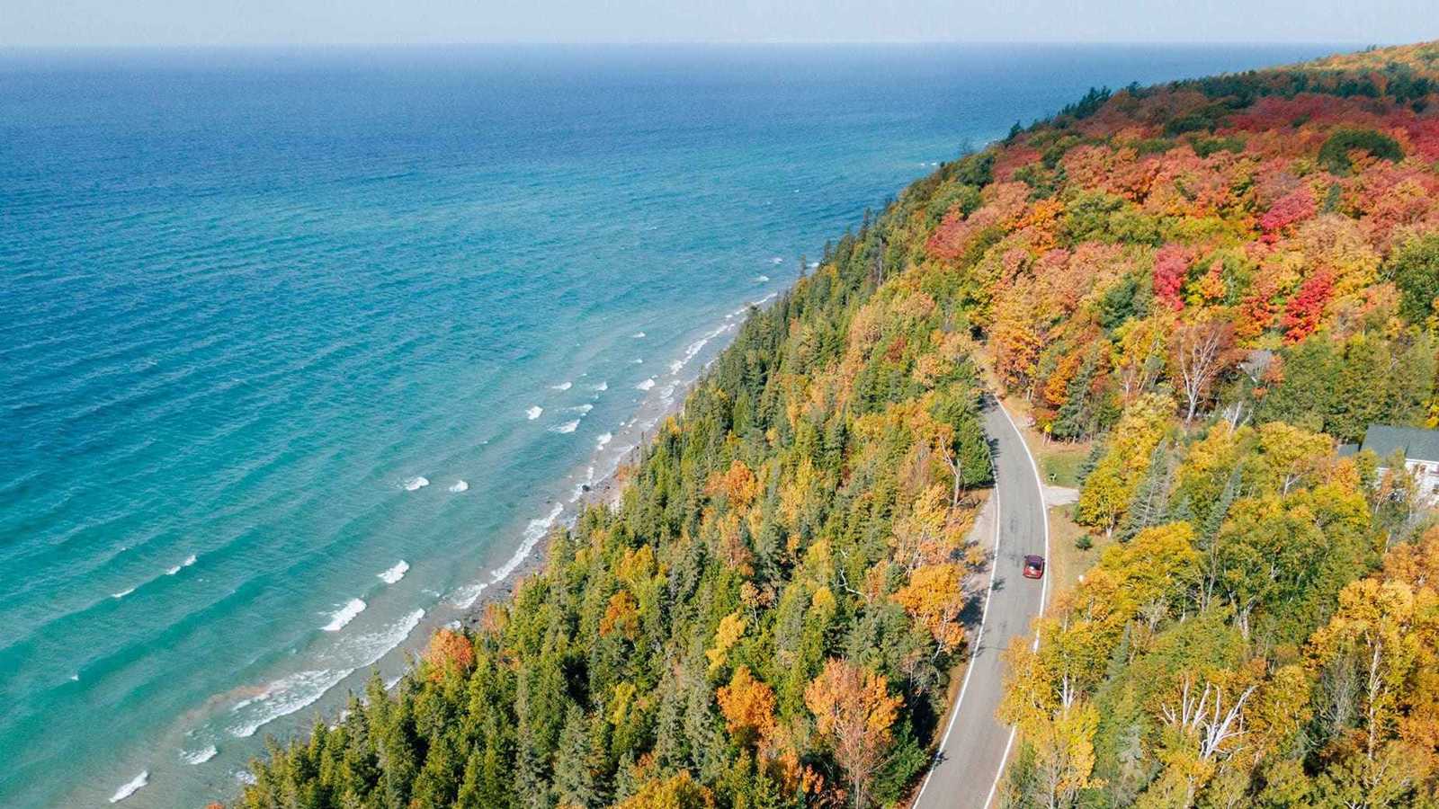 كولومبيا تتصدر القائمة.. مقتل 142 ناشطًا بيئيًا حول العالم في 2024