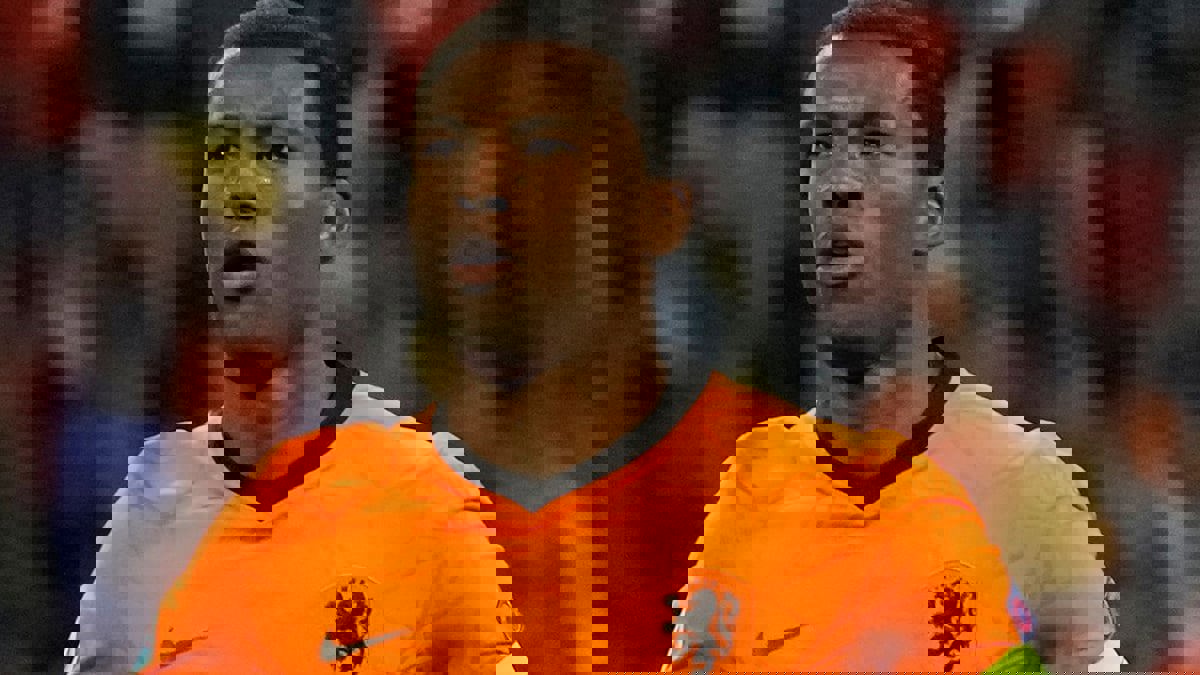 تقارير: فينالدوم لن يلحق بمنتخب هولندا في كأس العالم