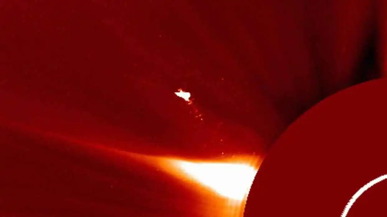 أكبر من الأرض بـ10 مرات.. كشف لغز "الطائر العملاق"