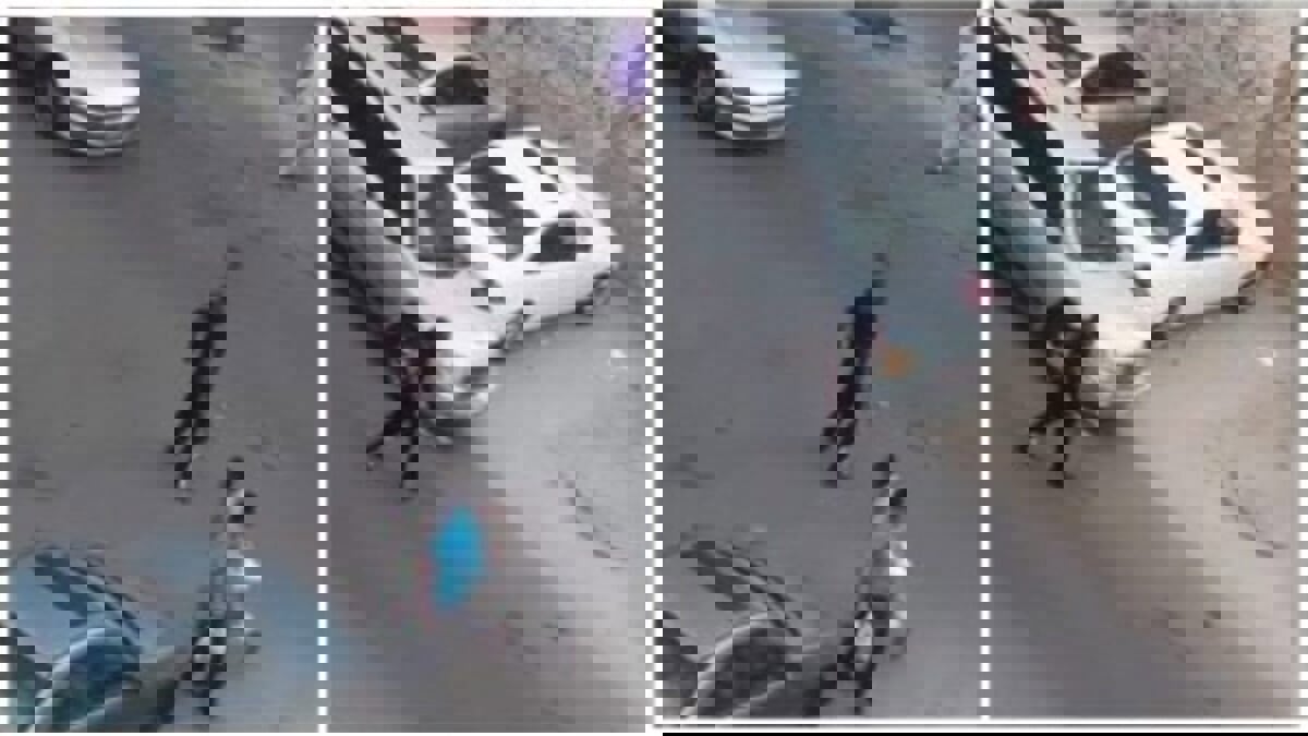 الكويت.. تفاصيل جديدة بواقعة تهجّم مصري على المارة بـ"ساطور"