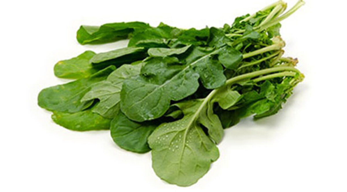 الجرجير يخفض من احتمالية الإصابة بسرطان الرئة والقولون