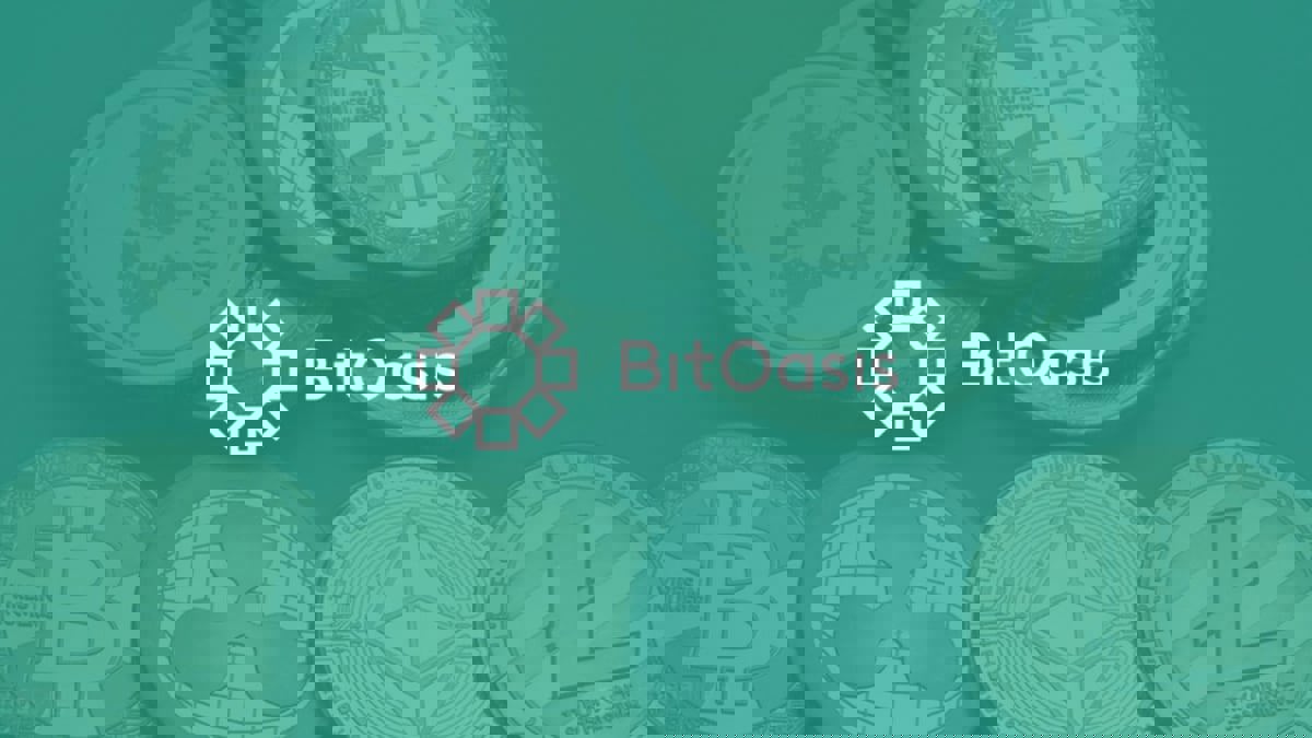 وسط اضطراب سوق العملات المشفرة.. "بت أويسس" تسرّح موظفين