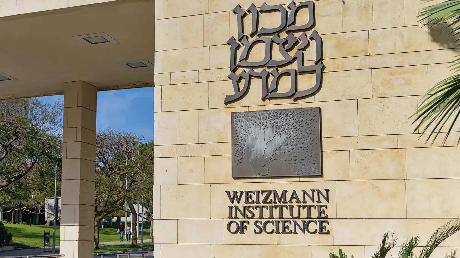 بفعل المقاطعة والظروف الأمنية.. تراجع حاد في تصنيف الجامعات الإسرائيلية