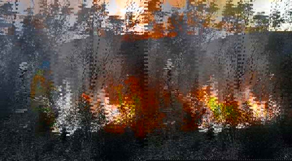 أوكرانيا تسيطر على حرائق قرب محطة تشرنوبيل النووية