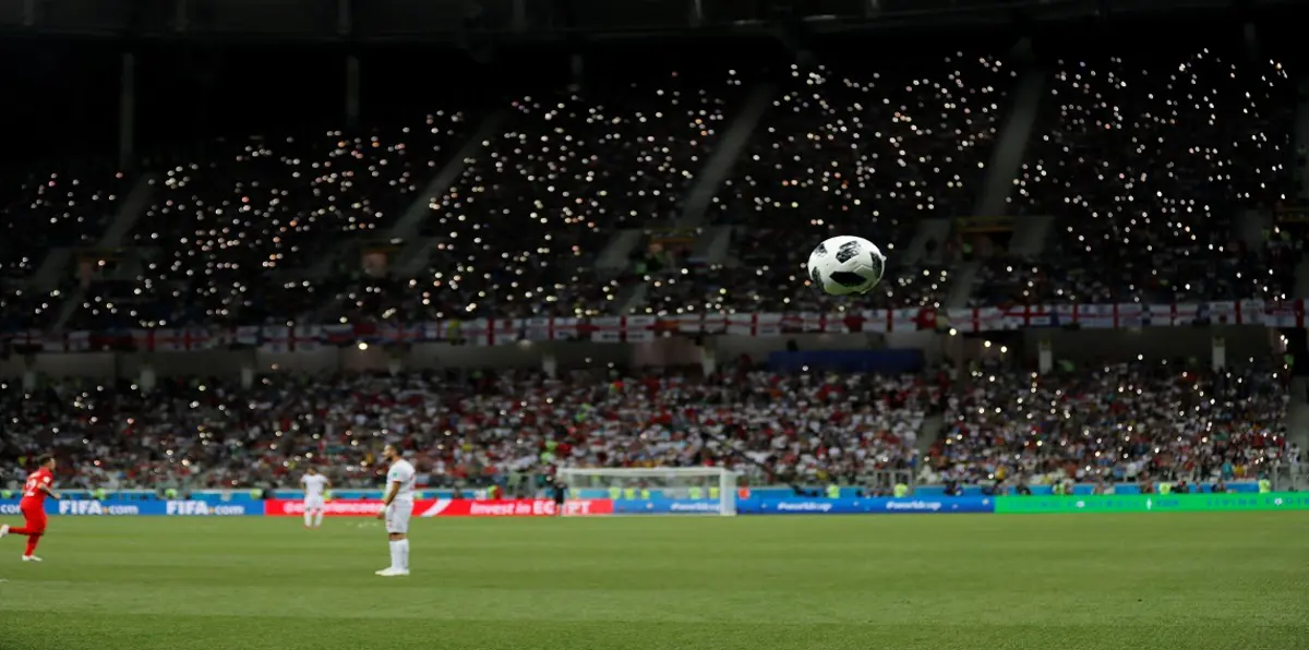 روسيا تستخدم الفانيليا لإبعاد البعوض عن ملعب فولغوغراد