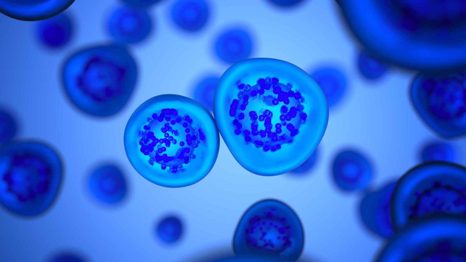 أي الحيوانات يمكنها إنجاب أكبر عدد من الصغار دفعة واحدة؟