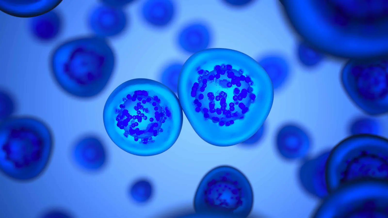 أي الحيوانات يمكنها إنجاب أكبر عدد من الصغار دفعة واحدة؟