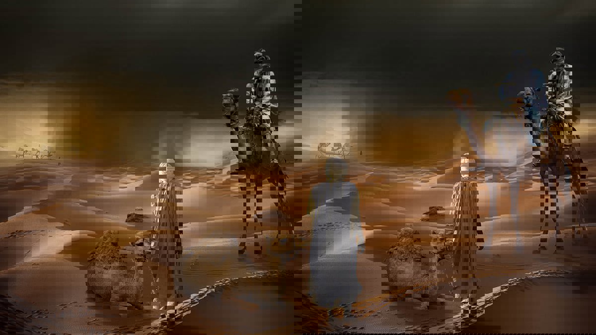 الجود والكرم والشُحُ والبخل!