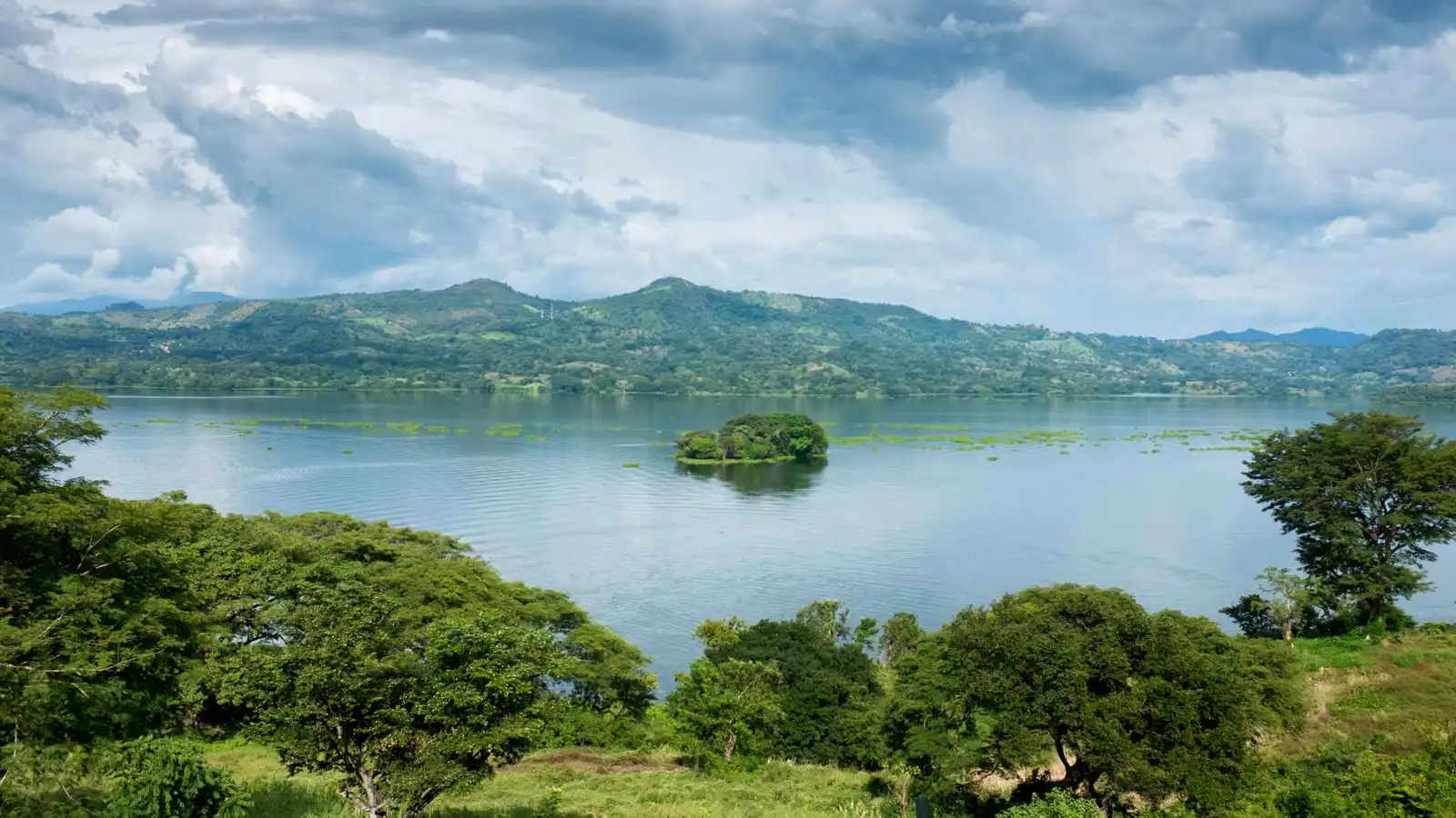 "صور صادمة".. طحالب سامة تحول أجمل بحيرات السلفادور إلى كارثة بيئية