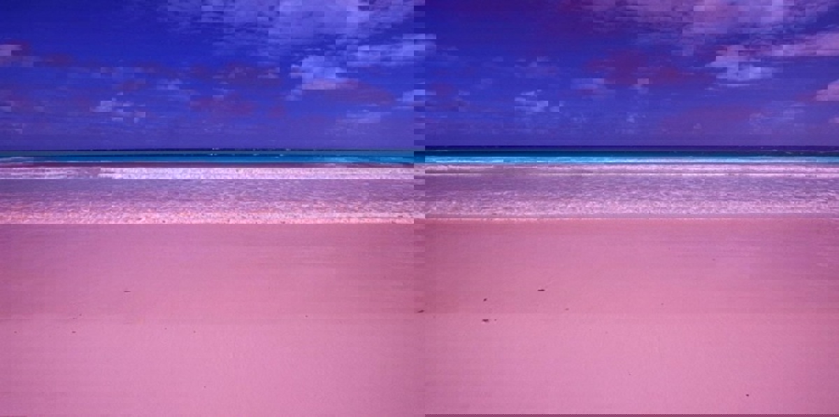 بالصور.. سر الشاطئ القرنفلي في جزر البهاما