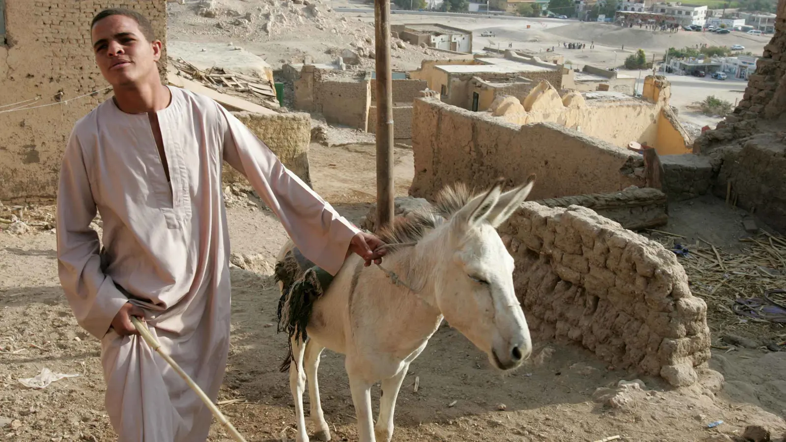 بسبب حمار.. سيدة أجنبية تعتدي على شاب مصري (فيديو)