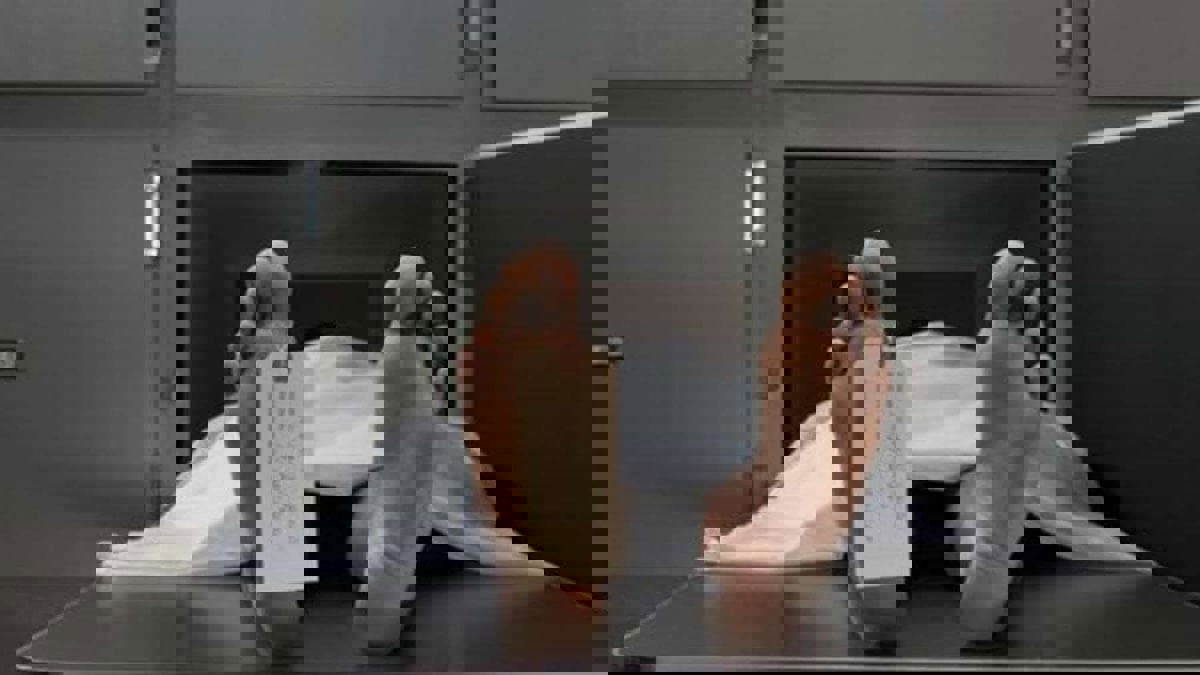 العثور على جثة شاب انتحر شنقًا داخل منزله في الأردن