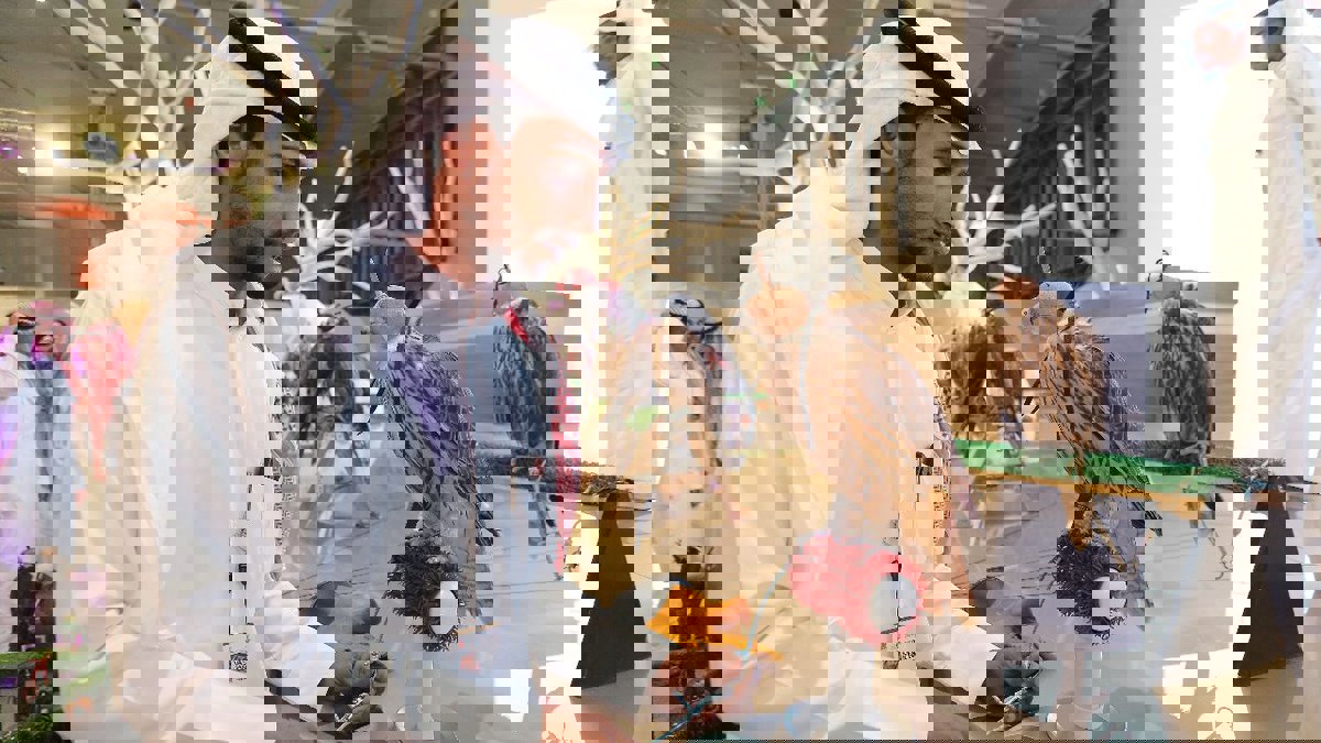 بالفيديو.. كيف يختار مربو الصقور في السعودية أسماء طيورهم الجارحة؟‎‎