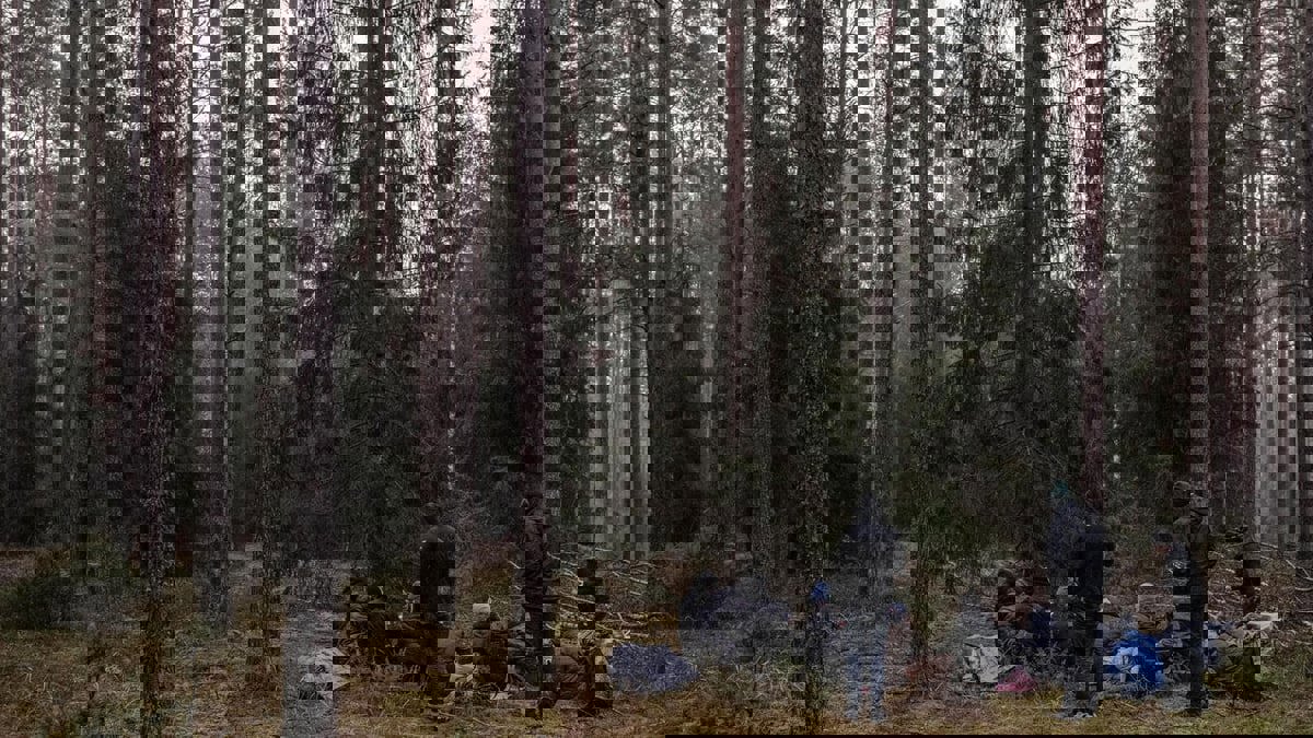 "استسلام لغضب الطبيعة".. قصة مهاجر عراقي عبر الغابات صوب ألمانيا