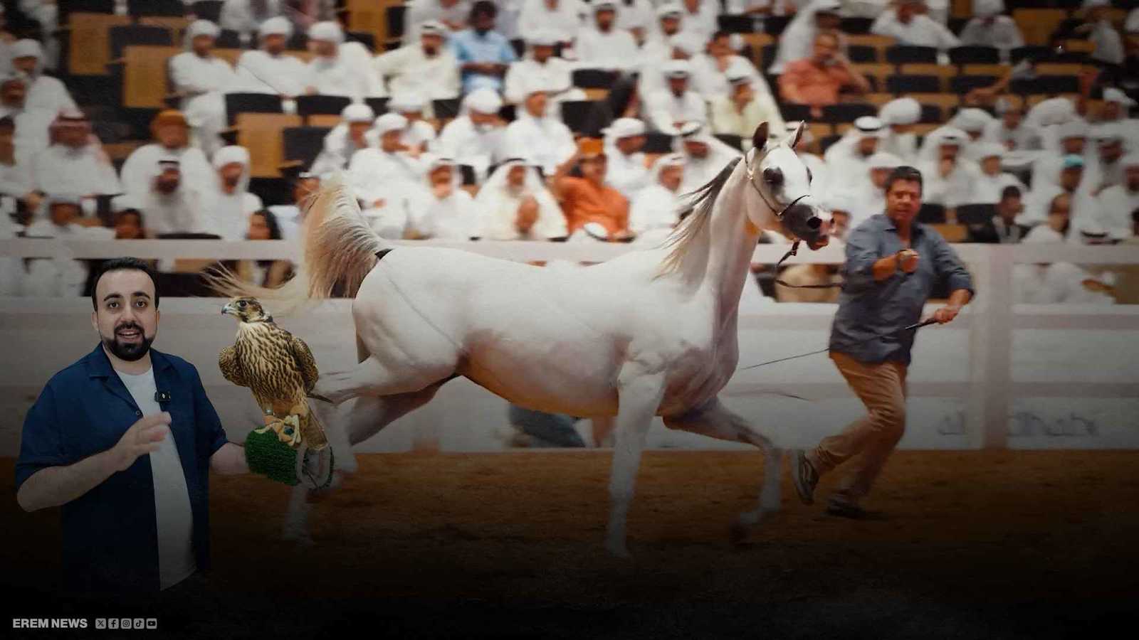 كيف خطف المعرض الدولي للصيد والفروسية قلوب الزوار وترك حكايات لا تُنسى؟