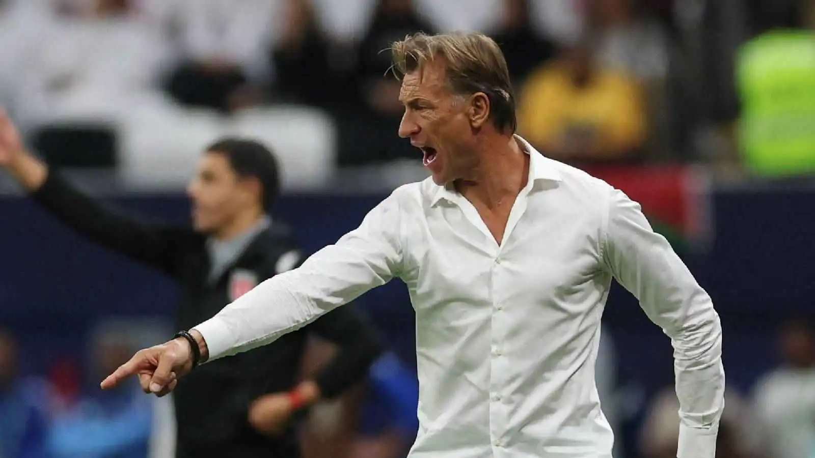 هيرفي رينارد مدرب المنتخب السعودي