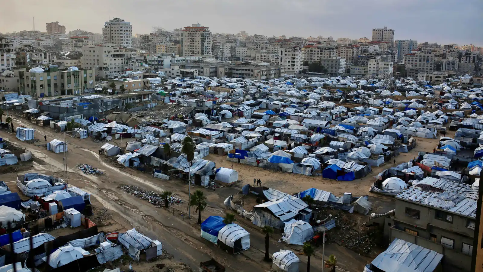 الاتحاد الأوروبي يبحث إمكانية تقديم دعم للجنة الوطنية لإدارة غزة