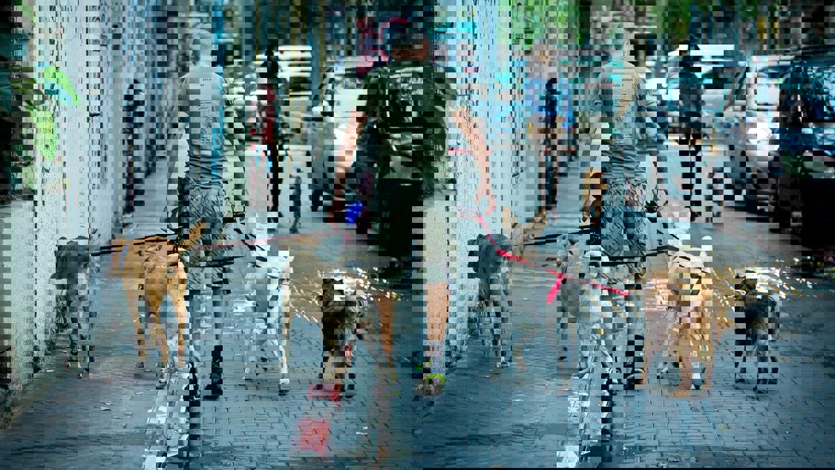 دراسة: وجود الكلاب في الأحياء يقلل بشدة من الجريمة